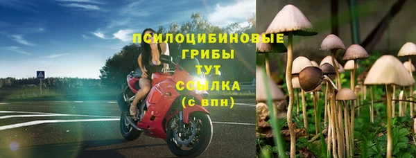 меф Заводоуковск