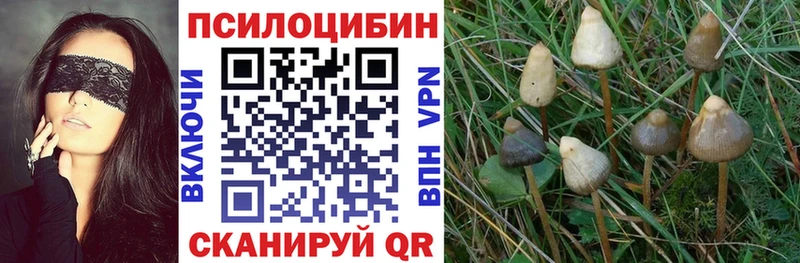 Псилоцибиновые грибы мицелий Макарьев