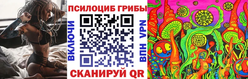 Купить закладки  Макарьев  Галлюциногенные грибы Psilocybine cubensis 