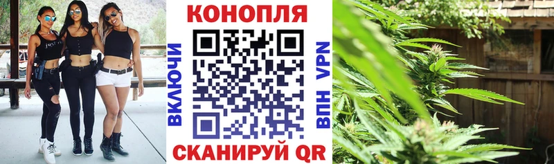 Конопля OG Kush  Купить  Макарьев 
